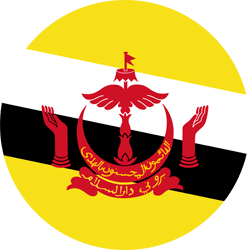 Brunei travel data esim and sim card